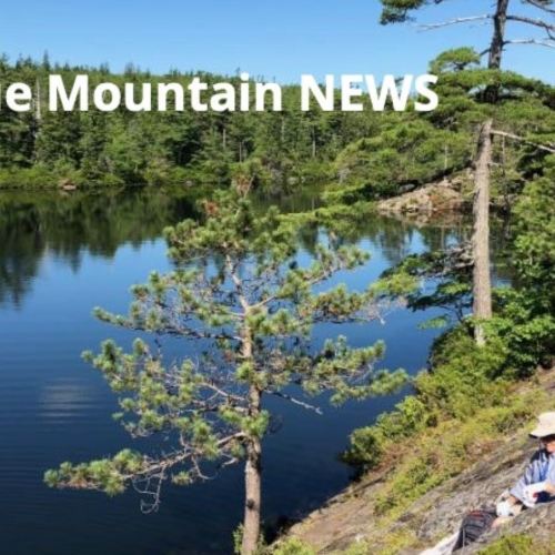 Blue Mountain News – Spring 2025